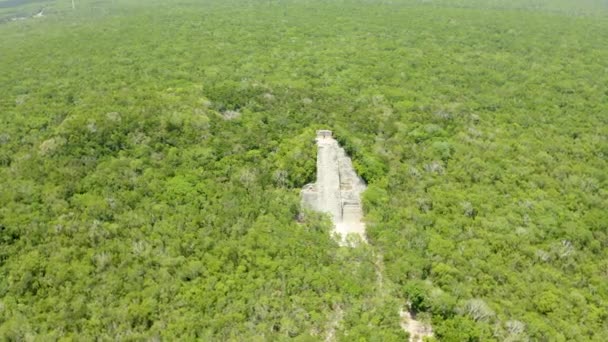 Luftaufnahme Des Mexikanischen Dschungels Von Oben Endloser Wald Über Dem — Stockvideo