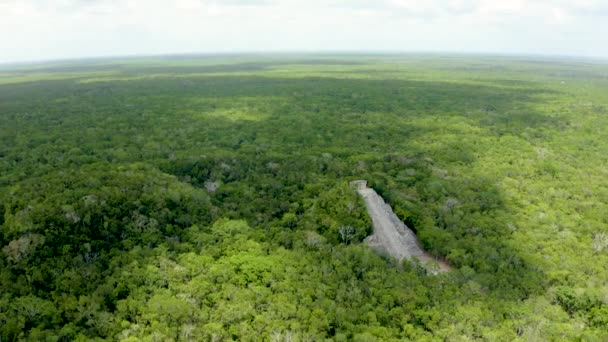 Flygfoto Över Maya Pyramiderna Djungeln Mexiko Nära Coba Arkeologiska Utgrävningar — Stockvideo