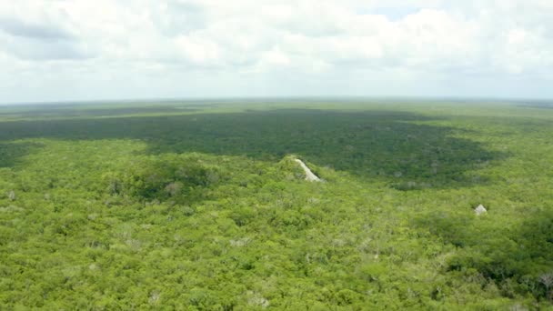 Vista Aérea Las Pirámides Mayas Selva México Cerca Coba Excavaciones — Vídeo de stock