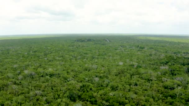 Vista Aérea Das Pirâmides Maias Selva México Perto Coba Escavações — Vídeo de Stock