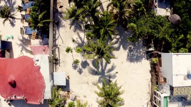 Hermoso Paraíso Tropical Vista Panorámica Del Caribe Con Palmeras Playas — Vídeo de stock