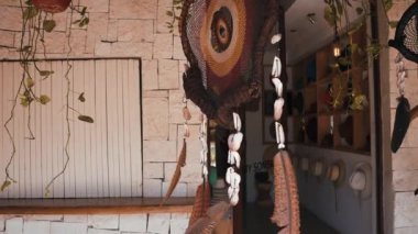 Tüylü muska. Rüzgâr güneşinde uçan beyaz tüylü rüya avcısı..