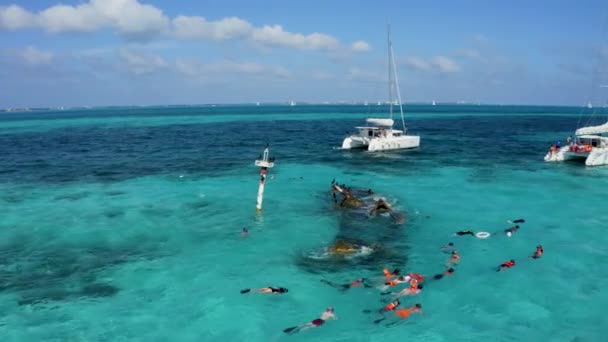 Légi kilátás búvárkodás a Karib-tenger közelében elsüllyedt hajó. — Stock videók