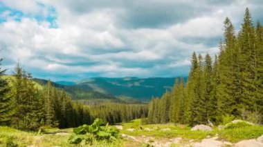 Romanya 'nın güzel kırsalının panoramik zaman çizelgesi. güneşli öğleden sonra