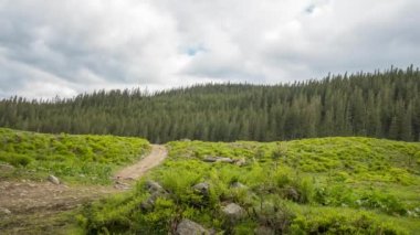 Romanya 'nın güzel kırsalının panoramik zaman çizelgesi. güneşli öğleden sonra