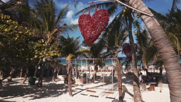 Mooi strand paradijs concept. Zwevende kruiden opknoping uit de palm — Stockvideo