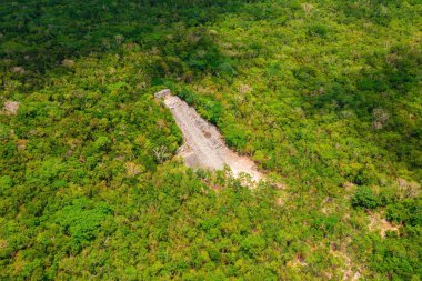 Maya piramidinin havadan görünüşü bir ormanın ortasında kayboldu. Chichen Itza piramit Tulum yakınlarındaki hava manzarası.