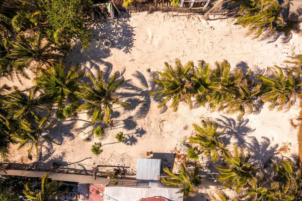 Aerial View Palm Trees Beach Beautiful Paradise Concept — Photo