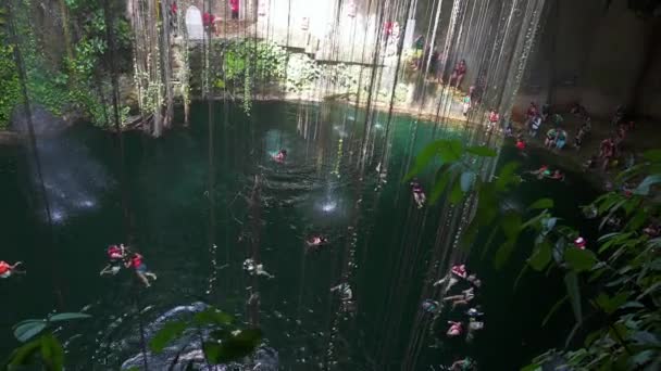 Beautiful crystal clear water in a cenote in the middle of a forest in Mexico — Stock Video