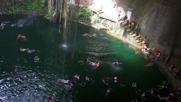 Vacker kristallklart vatten i en cenote mitt i en skog i Mexiko — Stockvideo