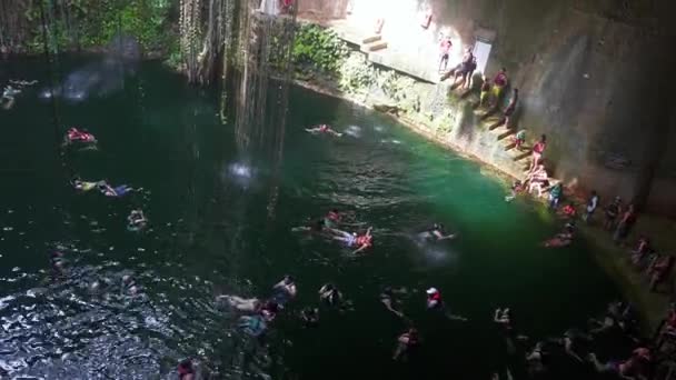 Vakkert krystallklart vann i en cenote midt i en skog i Mexico. – stockvideo