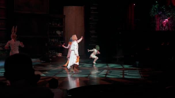Cancun 'daki Cirque de Soleil gösterisi. Sihirli sirk gösterisi. — Stok video