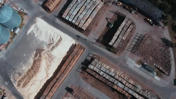 Warehouse of felled trees at the factory. Aerial view of the fallen trees — Vídeo de Stock
