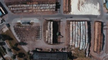 Warehouse of felled trees at the factory. Aerial view of the fallen trees
