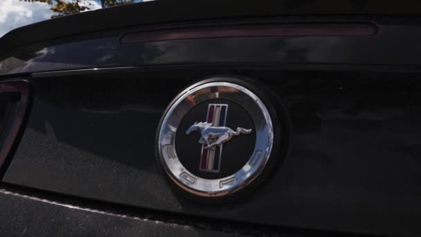 Modelo Ford Mustang negro estacionado. Deportivo legendario deportivo americano — Vídeos de Stock