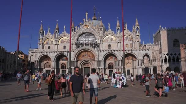 Mensen wandelen rond het San Marcoplein in Venetië op een zonnige zomerdag. — Stockvideo