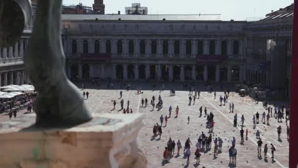 Люди ходят по площади Сан-Маркс в Венеции в солнечный летний день. — стоковое видео