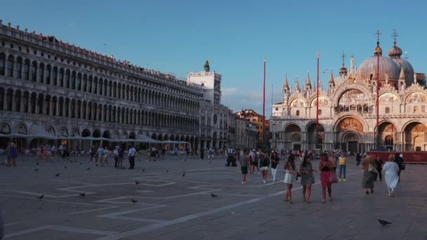 Pessoas andando em torno de St Marks Square em Veneza em um dia ensolarado de verão. — Vídeo de Stock