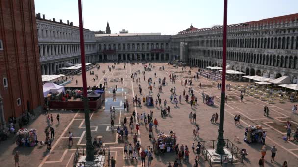 Mensen wandelen rond het San Marcoplein in Venetië op een zonnige zomerdag. — Stockvideo