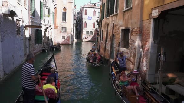 意大利威尼斯狭窄运河上的传统贡多拉 — 图库视频影像