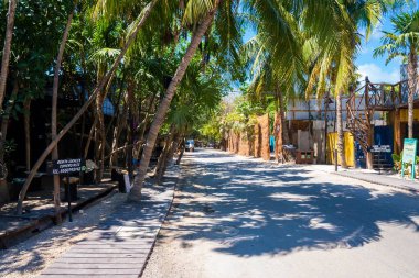 Yolun her iki tarafındaki ağaçlı kiralık dükkanların reklamı