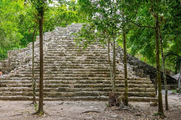 Pirámide de Mul Nohoch en las antiguas ruinas de la ciudad maya Coba —  Fotos de Stock