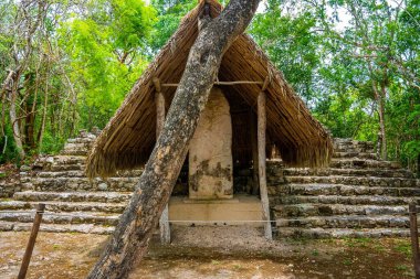 Nohoch Mul Piramidi ve Çelik Maya şehrinin antik kalıntıları Coba