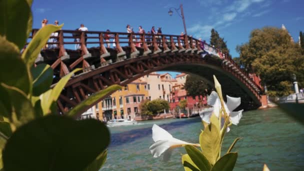 Wąski kanał z mostami w Wenecji, Włochy. Architektura i zabytek Wenecji. — Wideo stockowe