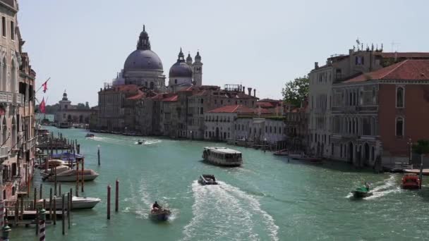 Canal Grande och Basilica Santa Maria della Salute, Venedig, Italien — Stockvideo