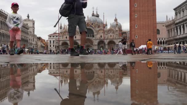 Hermosa vista de la plaza San Marco en Venecia, Italia — Vídeo de stock