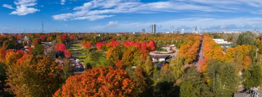 Riga, Letonya 'daki Zafer Parkı' nda, sonbaharda altın yeşillikler, ağaç kaplı bir bulvar, dönme dolap ve üzerinde bir kablo bulunan şehir silüeti köprü olarak kaldı..