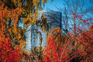 Silindirik cam bir kule, kırmızı, portakal ve altın rengi ağaçların arasından gözetliyor. Parkın ayarları doğa ve modern tasarımın zıttıyken şebeke pencereleri gün ışığını yakalıyor.