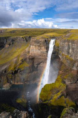 Yüksek bir Haifoss şelalesi İzlanda Highlands 'ta yosun kaplı bir kanyona düşer, sisli bir gökkuşağı, bazalt kayalıkları ve tepeli düzlüklerde gökkuşağı yağmurdan sonra sahneyi çerçeveler..