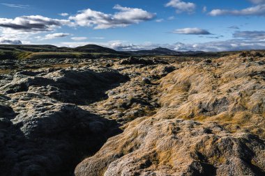 Soluk yeşil yosun örtüleri İzlanda 'da bir lav tarlasında bazalt çatlattı. Düşük volkanik tepeler ve gün ortası ışığı altında uzak konik tepeler çıtır çıtır gölgeler bıraktı..