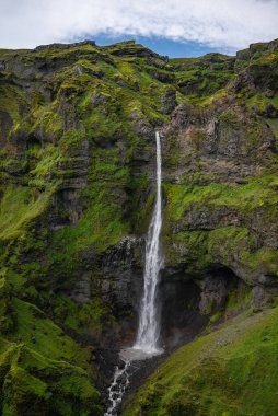 İnce bir şelale İzlanda 'da dik bir Mulagljufur kanyonunda kayalık bir havuza dalıyor, bazalt katmanlar görünür, yumuşak gün ışığı ve taze yağmur sonrası berraklık gösteriyor.