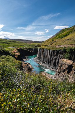 Turkuaz buzul nehri Doğu İzlanda 'daki Studlagil Kanyonu' ndaki altıgen bazalt kolonlardan geçiyor. Gün ortası ışığı siyah kayayı ve süt mavisi suyu ince bulutların altında ortaya çıkarıyor..