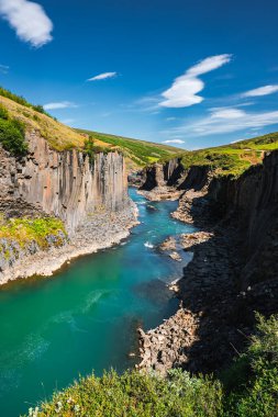 Bir turkuaz nehri gün ortasında Doğu İzlanda 'daki Studlagil Kanyonu' ndan geçer. Altıgen bazalt duvarlar canlı suyu çerçeveler. Öncü çizgiler gözü yukarı yönlendirir..