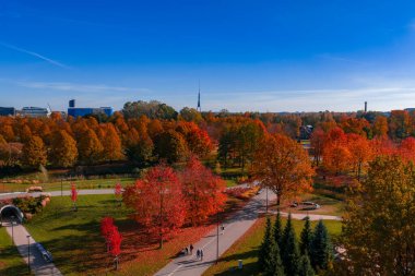 Riga, Letonya 'daki bir şehir parkında kırmızı ve altın ağaçlar, dolambaçlı yollar ve aylaklar görülüyor. Riga Radyo ve TV Kulesi, açık öğleden sonra ışığında modern blokların ötesine yükseliyor..