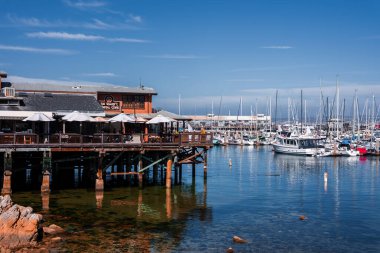 Beyaz kafe şemsiyeli güneşli iskele ve Wharfs General Store, Monterey, California 'da öğle vakti su berrak ve sakin bir yat marinasına bakıyor..