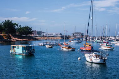 Renkli yelkenliler ve Monterey, California 'da bir turkuaz yüzen ev. Kaya kıyısı ve selvi ağaçları koydaki yansımaları gün ortası aydınlığında oluşturur..
