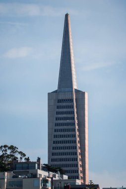 Transamerica Piramidi, San Francisco, Kaliforniya 'daki alçak binaların üzerinde duruyor. Beton cephesi ve iğne kulesi, sokak manzarasından gelen yumuşak öğleden sonra ışığı ile aydınlatılıyor..