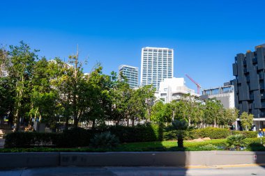 Sliema, Malta 'da yüksek binalardan önce palmiyeler ve çalılarla döşenmiş bir bahçe parkı. Izgara balkonlu beyaz bir kule, karanlık bir cephe, ve etkin büyüme gösteren kırmızı bir vinç..