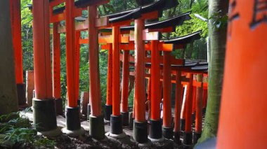 Ziyaretçiler, Kyoto 'nun Fushimi Inari Taisha kentindeki taştan bir merdiven boyunca ilerliyorlar. Noktalı ışık kanjiyi, yıpranmış üsleri ve ritmik kemerleri ortaya çıkarıyor..