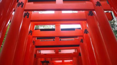 Kamera, Kyoto 'daki Fushimi Inari' de siyah kanji ile parlak tori boyunca eğilir ve hareket eder, parlak yansımalar, fenerler, yüksek kontrastlar, yukarıda orman işaretleri.