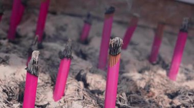 Parlak pembe tütsü, Tokyo tapınağındaki soluk küllerin içinde yanar. Makro görüntüyü kapat, alanın sığ derinliği, yumuşak duman sürüklenmesi, lifli doku ve düşen kül..