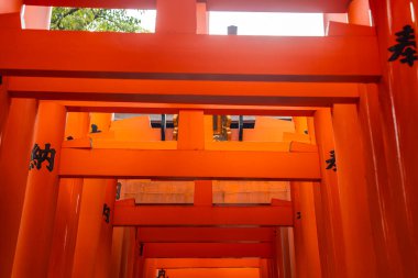 Kyoto, Japonya 'da bir tünel oluşturan siyah kanji ile kırmızı tori kapılarını kapatın. Tekrar eden çerçeveler ve sıcak boyalı ahşap yumuşak gün ışığında ritmik bir geçit oluşturur..