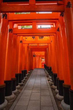 Kyoto 'daki Fushimi Inari Taisha' da siyah kanjili samur torii manzarası. Tekrarlayan kapılar, yumuşak gün ışığında asfalt bir yol üzerinde bir tünel oluşturur..