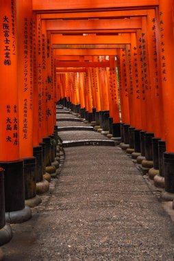 Vermilion torii kapıları Kyoto 'daki Fushimi Inari Taisha' da bir kavis çiziyor, her kapıda siyah kanji, yumuşak gün ışığı altında düşük merkezli perspektif.