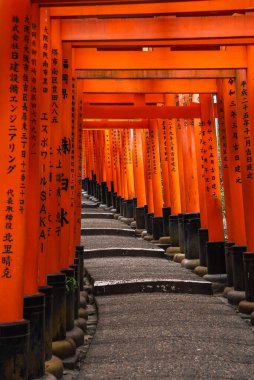 Vermilion torii kapıları Japonya 'nın Kyoto kentindeki Fushimi Inari Taisha' da siyah yazıtlar ve görünür karanlık üslerle yumuşak ışık altında taş bir yol oluşturur..
