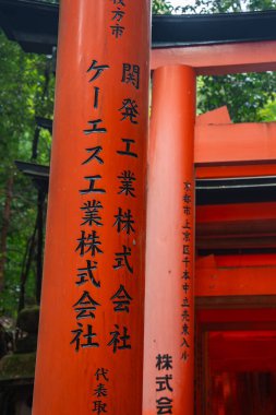 Kyoto, Japonya 'daki Fushimi Inari Taisha' da bir tünel oluşturan siyah yazıtlarla kırmızı tori 'yi yakından görmek, gündüz ışığı, yumuşak gölgeler, orman ipuçlarını yukarıda eklemek